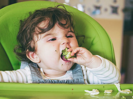 Espinacas con Pollo: Receta Nutritiva para tu Bebé