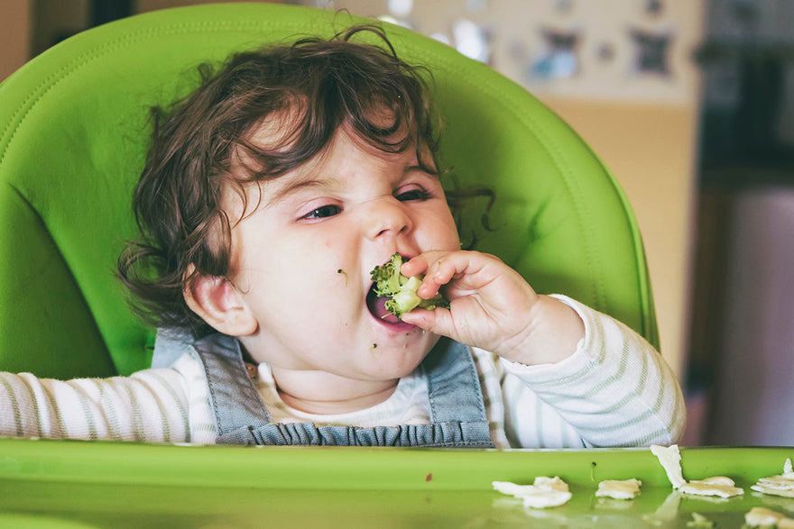 Espinacas con Pollo: Receta Nutritiva para tu Bebé
